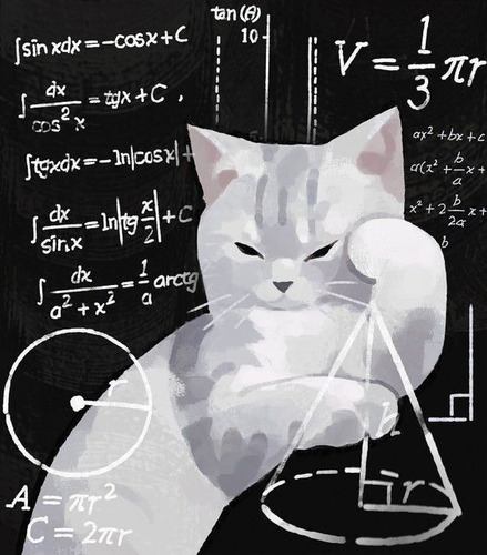 Cuadro Decorativo Meme Gato Matematico Pensando Michi Textur