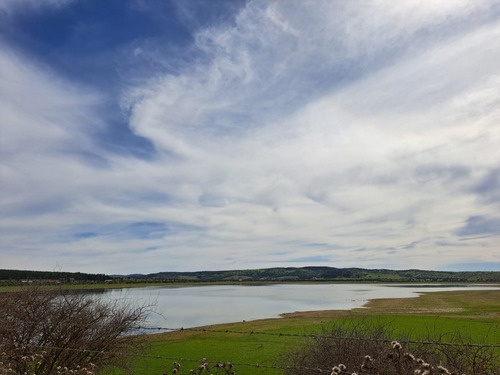 Parcela 5000 Mts2 Con Luz. Marchihue. Sector Alcones Embalse