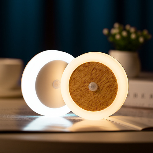 Luz Con Sensor De Luz, Carga Usb, Sensor De Cuerpo Humano