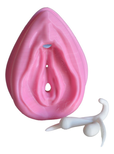 Vulva Y Clitoris - Educación Sexual Esi - Replicas Imp 3d