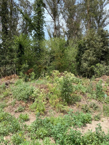 Imagen 5 de 6 de En Venta 3 Lotes En El Paseo De La Ribera Del Rio Quequén - Necochea. Gran Oportunidad Para Inversores!