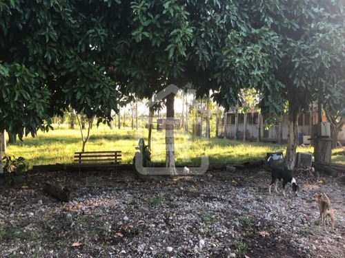 Imagem 26 de 30 de Sitio Com Topografia Plana, Totalmente Limpo, Ótimo Para Plantação Ou Criação De Gados. - 37 - 70344663