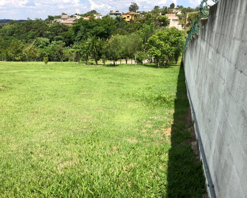 Imagem 4 de 5 de Terreno - Te01085 - 69272715