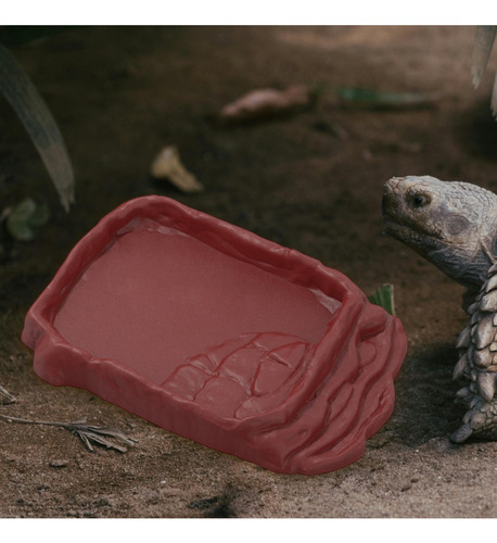 Plato De Agua De Terrario Multifuncional De Tazón De L