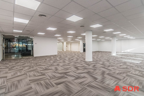 Imagen 6 de 24 de Oficina En Alquiler 620m. A Nuevo En Av Del Libertador 767, Vicente López