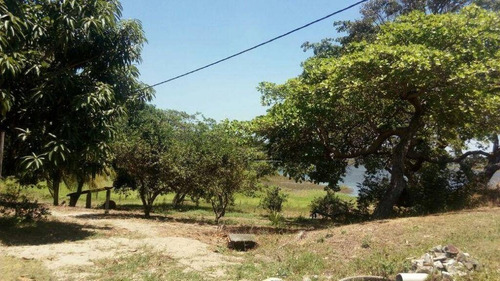 Imagem 7 de 14 de Chácara À Venda, 41000 M² Por R$ 800.000,00 - Pecém - São Gonçalo Do Amarante/ce - Ch0001
