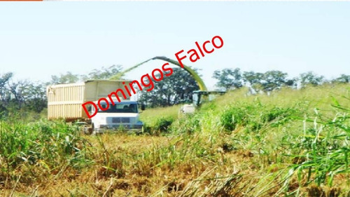 Imagem 17 de 30 de Venda - Fazenda - Zona Rural - Jussara - Go - D0510