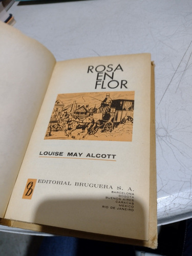 Rosa En Flor Louise May Alcott S1 (Usado)