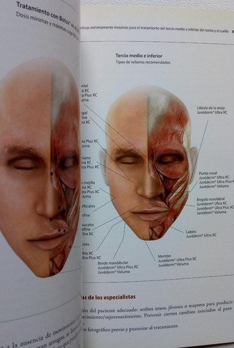 Mejores Practicas En Rejuvenecimiento Facial (Usado)