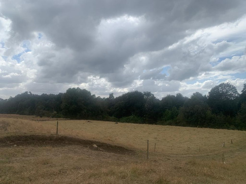 Campo En Ticahue - 57 Ha Ganadero