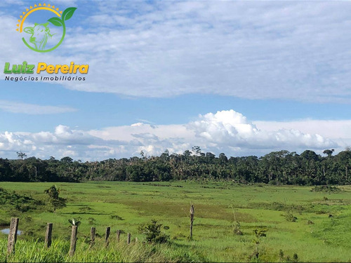 Imagem 10 de 15 de Fazenda À Venda Em Pacajá - Pa 692,12 Hectares - 2094