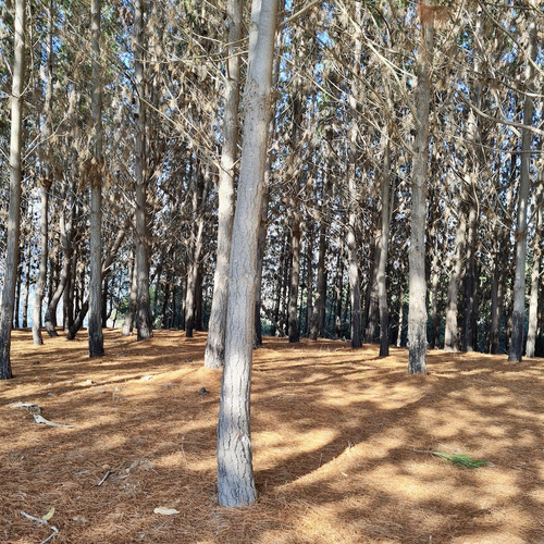 Terreno En Exclusivo Condominio En Matanzas