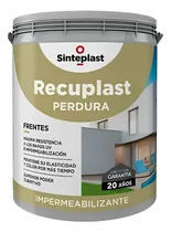 Comprar Pintura Recuplast Perdura Frentes 1lt Sinteplast Color Blanco