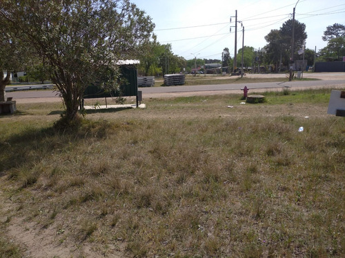Venta Terreno El Pinar