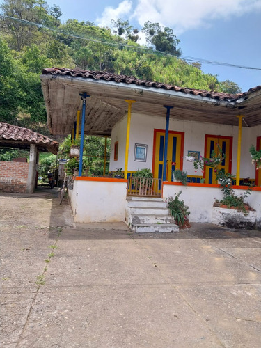 Se Vende Finca De 63 Cuadras En Barragán