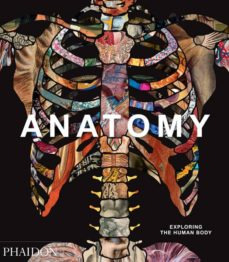 Anatomy  Exploring The Human Body  Edición En Ingles