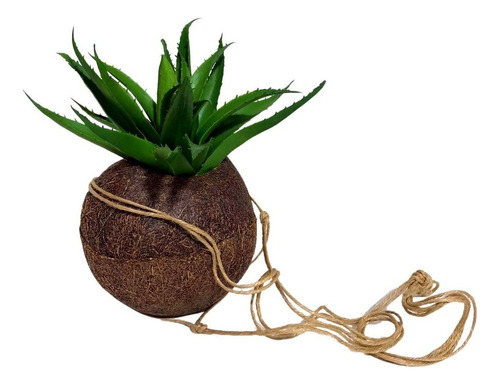 Vaso Kokedama Suspenso 10x11cm Fibra De Coco Natural Flores