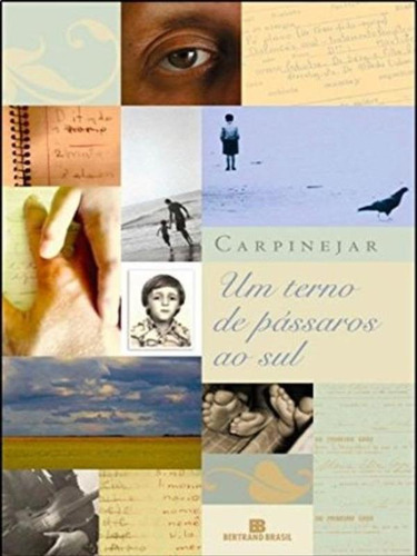 Um Terno De Pássaros Ao Sul, De Carpinejar. Editora Bertrand Brasil, Capa Mole, Edição 1ª Edição - 2008 Em Português