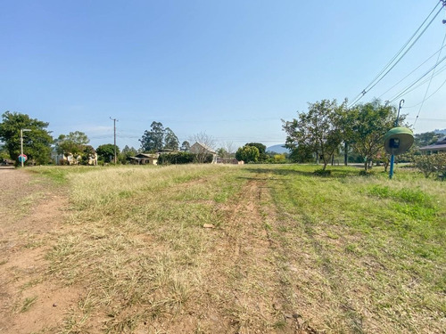 Imagem 7 de 8 de Terreno À Venda, 1545 M² - Picada Cara - Feliz/rs - Te0453