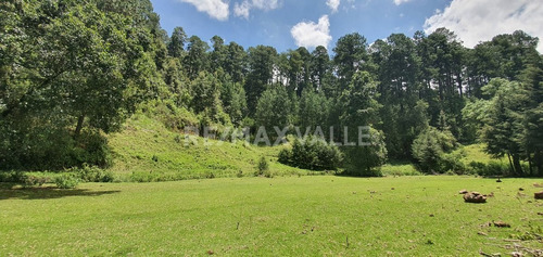 Imagen 10 de 18 de Terreno En Venta.