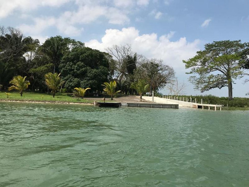 Lotes Venta Fraccionamiento Arboledas Del Río 600 M² Tuxpan Veracruz