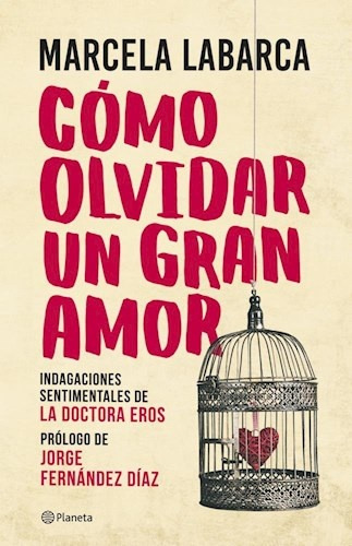 Como Olvidar Un Gran Amor - Marcela Labarca