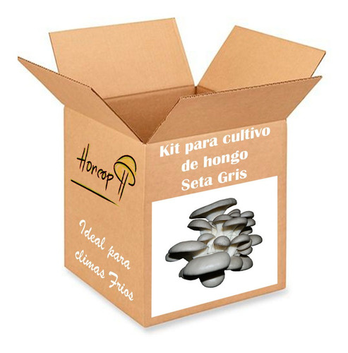 Kit Cultivo Hongo Seta Pleurotus Gris - Micelio Semilla