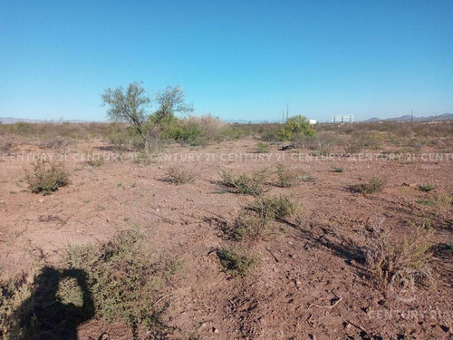 Imagen 2 de 2 de Terreno En Venta En Sacramento