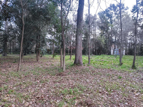 Imagen 9 de 10 de Lote Terreno Baldio En Venta Los Polvorines El Cortijo Viejo
