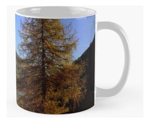 Taza Lago Poschiavo Calidad Premium