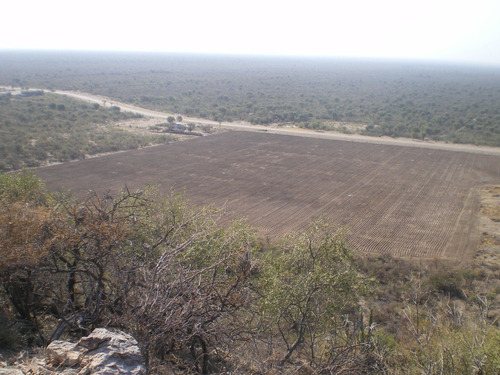 Campo Con 3 Viviendas Mas Pileta