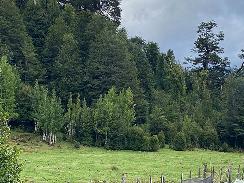 Terreno Villa Amengual 0,58 Ha