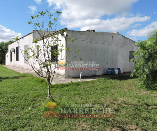 Chacra 4 Has Cno Calpino En Montevideo Rural