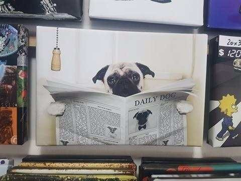 Vinilo Decorativo 60x90cm Perro Pug Diario Baã±o Mascota