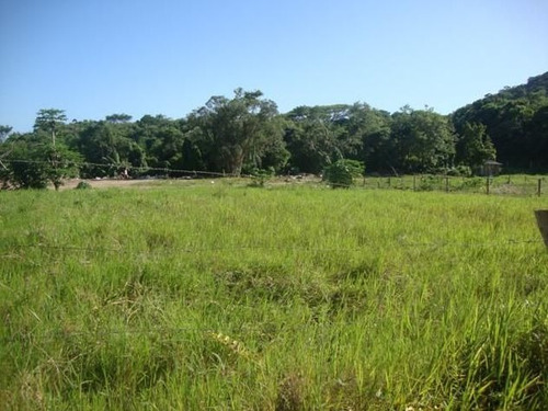São Roque 20.000m2 Ótima Área Localização Privilegiada