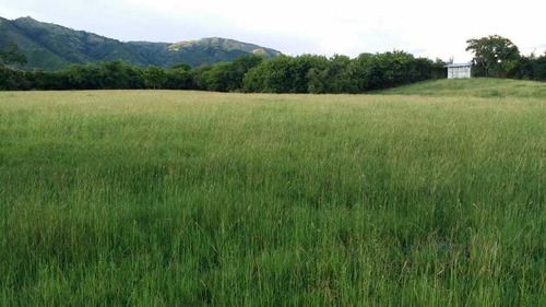 Finca Ganadera Y De Recreo En Tocaima