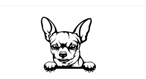 1pz Stiker Vinil Calcomanía Estampa Perrito Chihuahua15x14.5