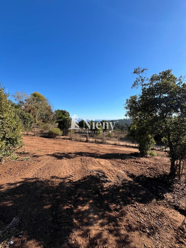 Venta Terreno Reñaca Los Pinos
