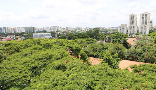 Imagem 13 de 21 de Sala À Venda No Bairro Campo Belo - São Paulo/sp - O-4008-10853