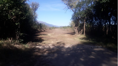 Lote De 2000m2 En Cerro De Oro, Villa De Merlo Acceso Por Granadilla
