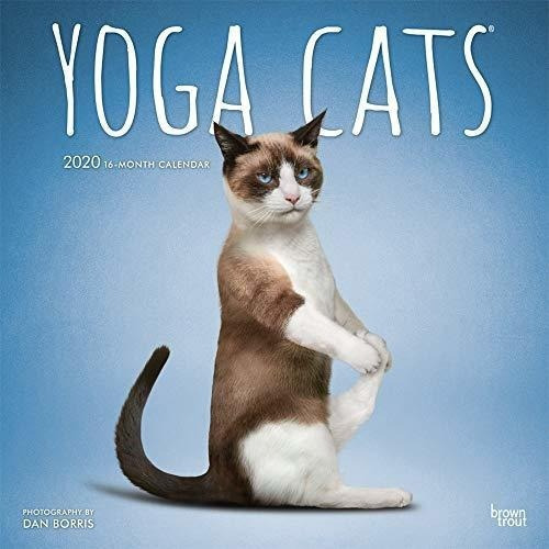 Yoga Cats 2020 12 X 12 Inch Monthly Square Wall..., De Browntrout Publishers Inc.. Editorial Browntrout Publishers En Inglés