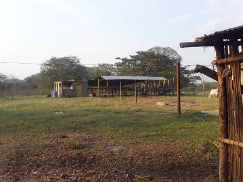 Imagen 5 de 7 de Finca En Lagunita Cod. Indif-039