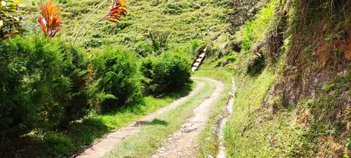 4 Lotes En Venta En El Peñol