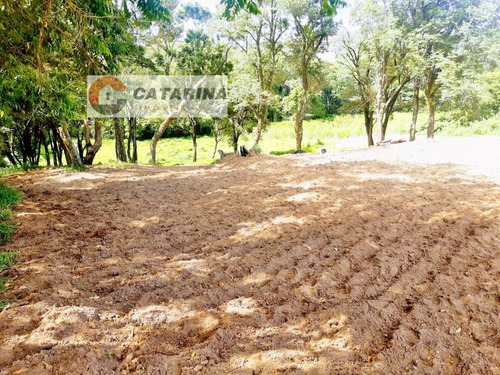 Imagem 4 de 8 de ***lindo Sitio***