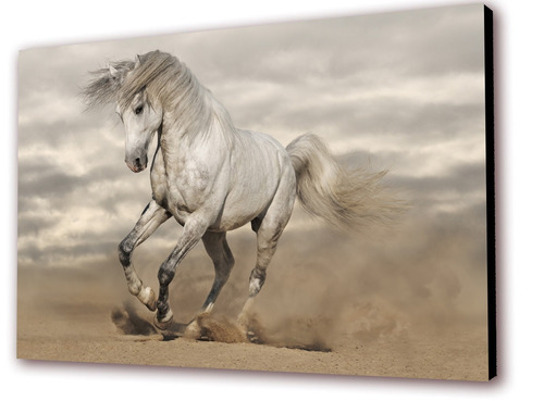 Cuadro 50x30cms Decorativo Caballo 5!!!