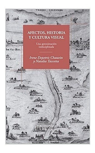 Libro Afectos , Historia Y Cultura Visual De Irene Depetris 