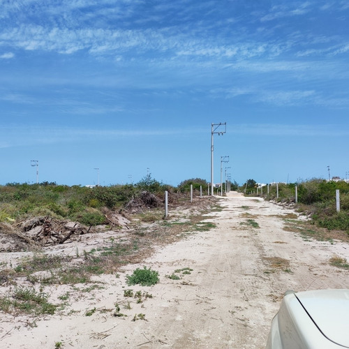 Imagen 15 de 24 de Terreno En Playa Chicxulub En Venta. Con Acceso A La Playa