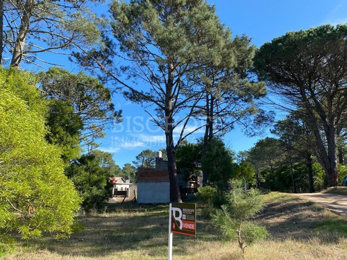 Imagen 12 de 16 de Hermoso Terreno, Zona Golf. Villa Gesell