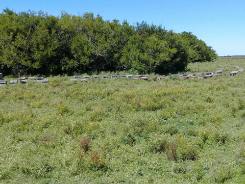 Imagen 14 de 19 de Campo En Venta - 101 Hectáreas - Pinamar