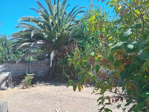 Casa En Venta De 5 Dorm. En Marchigüe